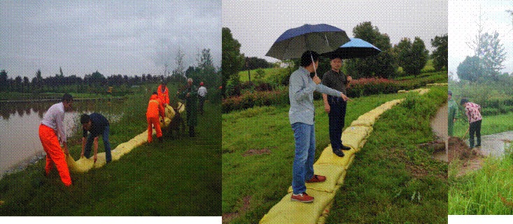 image002.gif