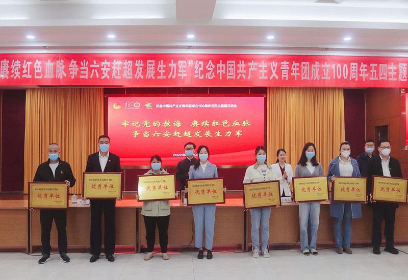 团总支获优秀单位.jpg